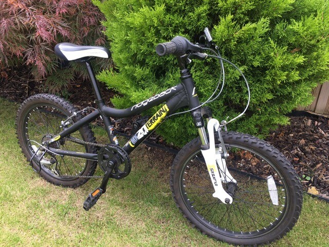 ridgeback mx20 terrain